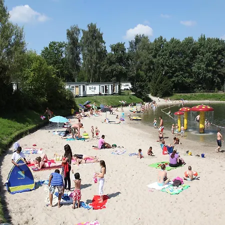 Villa Comfortable With Combi-microwave In Surroundings Arcen